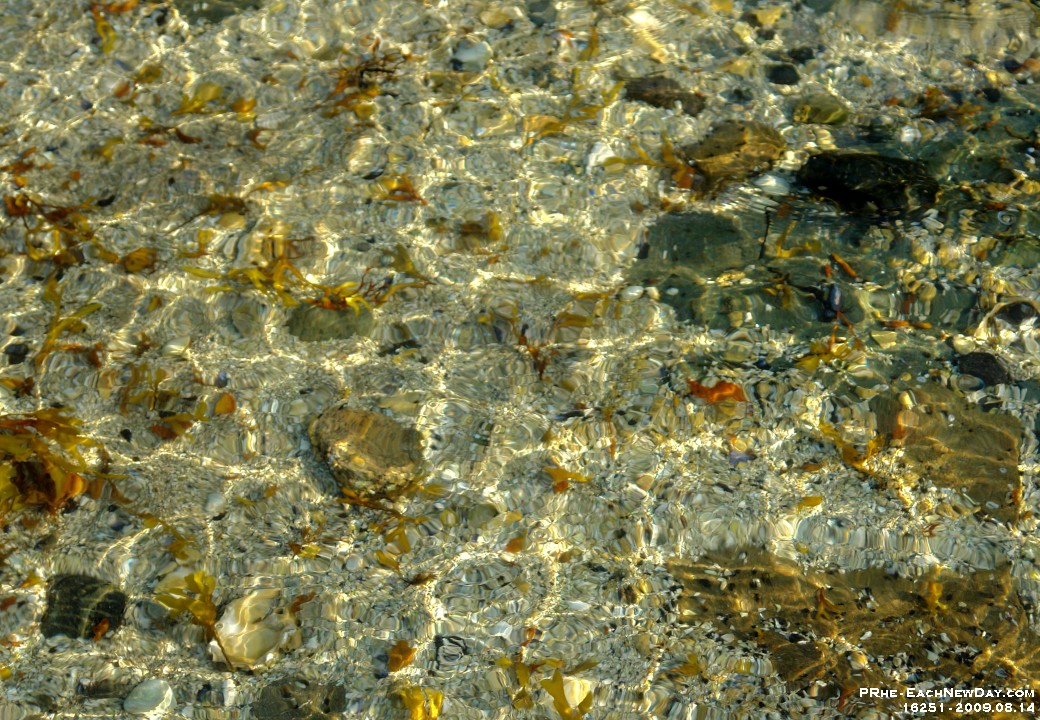 16251CrLe - Beach Walk, Inn of the Sea